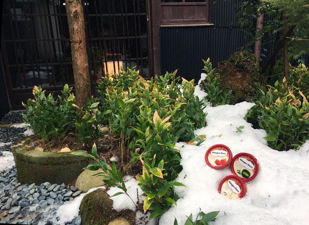 Ichii No Niwa 一棟貸切の古民家宿 櫟の庭 다카야마 외부 사진
